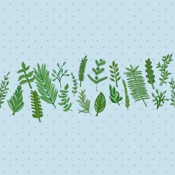 Herbal border pattern. hand drawn vector illustration Illustrazione stock