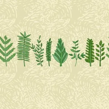 Herbal border pattern. hand drawn vector illustration Stock Illustration