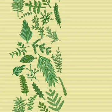 Herbal border pattern. hand drawn vector illustration Stock Illustration