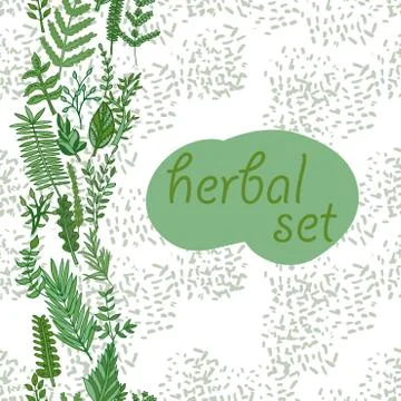 Herbal border pattern. hand drawn vector illustration Illustrazione stock