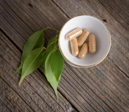 Herbal capsules Stock Photos