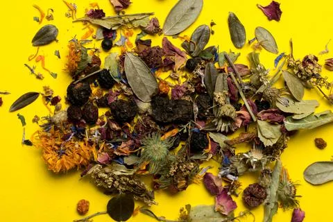 Herbal collection on yellow backdrop. Stock Photos