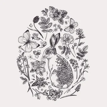 Herbal composition with flowers and rabbit. Stock Illustration