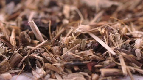 Herbal dry collection Stock Footage 120683122