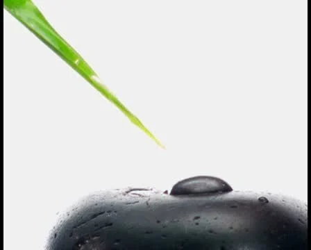 Herbal essence on massage stone V2 - PAL Stock Footage 10769593