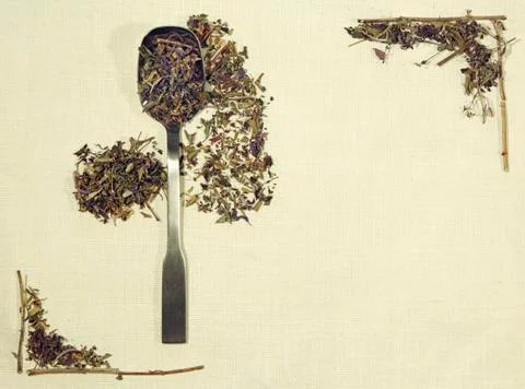 Herbal flat lay of different herbs on linen fabric with a spoon Stock Photos