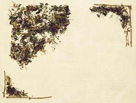Herbal flat lay of different herbs on linen fabric Stock Photos