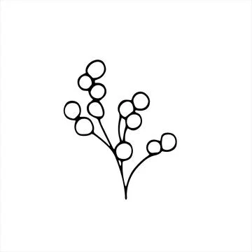 Herbal floral doodle-style vector illustration. Hand-drawn botanical illust.. Stock Illustration
