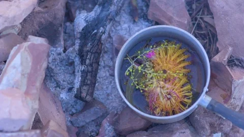 Herbal flower being cooked into boiled water Stock Footage 76139440