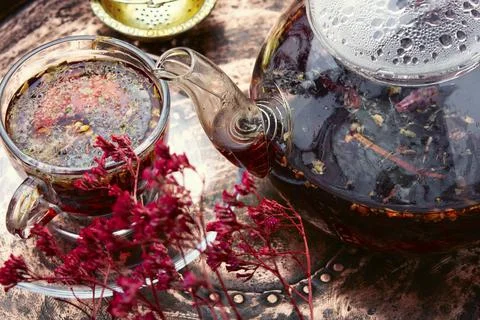 Herbal flower tea Stock Photos