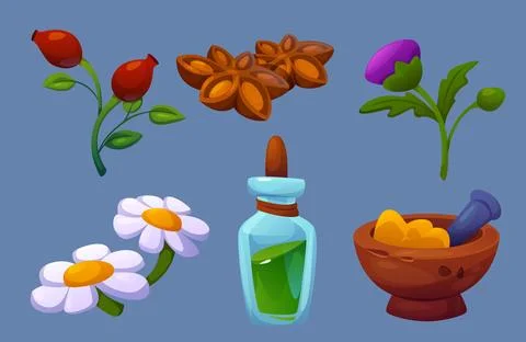 Herbal folk medicine elements set. Stock Illustration