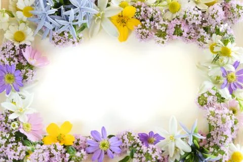 Herbal frame board Foto stock