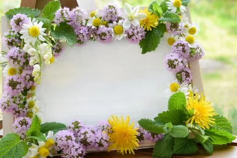 Herbal frame Foto stock