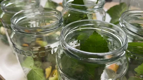 Herbal Glass Jars Stock Footage 313867396