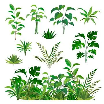 Herbal green elements. Tropical jungle leaves and brunches collection, paradise Stockillustratie