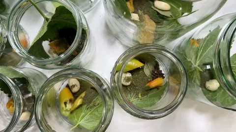 Herbal Infusion Jars Stock Footage 313363657