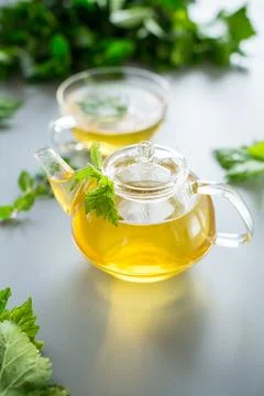 Herbal infusion of mint and currant on a gray background from above Stock Photos