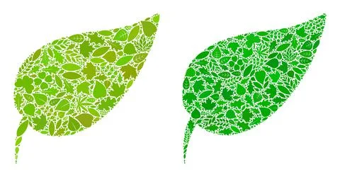 Herbal Leaf Icon Eco Composition of Floral Elements Illustrazione stock