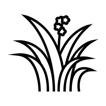 Herbal leaf line icon vector illustration 스톡 일러스트