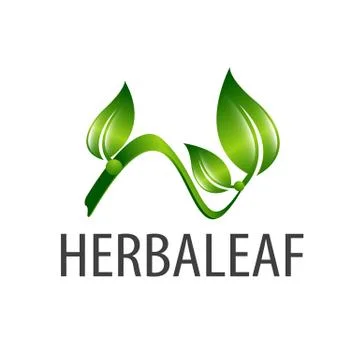 Herbal leaf. Stem leaves logo concept design. Symbol graphic template element Stock Illustration