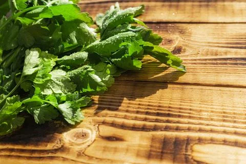 Herbal leaf vegetable Stock Photos