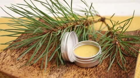 Herbal medicinal pine resin balm in a jar, made from Pinus resin. Stock Footage 345575083