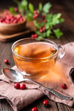 Herbal medicine, a cup of hot hawthorn tea made from freshly picked berries Stock Photos