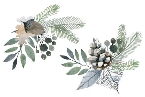 Herbal mix square frame. Hand painted plants, branches, leaves, succulents and Illustrazione stock