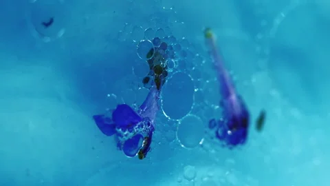 Herbal oil bubble texture blue petals aroma gel Video stock 282332999