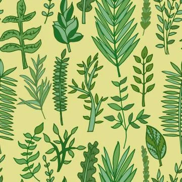 Herbal pattern. hand drawn vector illustration Stock Illustration