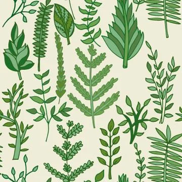 Herbal pattern. hand drawn vector illustration 스톡 일러스트
