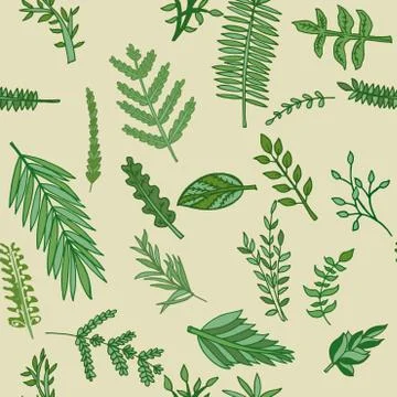 Herbal pattern. hand drawn vector illustration 스톡 일러스트