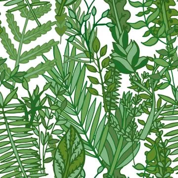 Herbal pattern. hand drawn vector illustration Stock Illustration