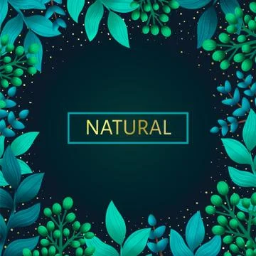 Herbal pre-made frame composition. Natural products concept. Stock Illustration