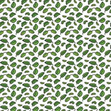 Herbal Seamless Endless Pattern of mint. Wrapping paper, fabric print, wallpa Stock Illustration