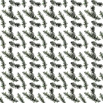 Herbal Seamless Endless Pattern of rosemary sprigs. Wrapping paper, fabric pr Stock Illustration
