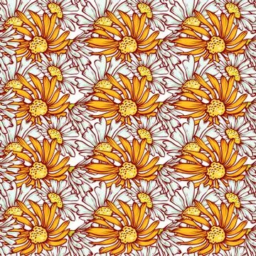 Herbal seamless pattern. Vector sketch background with gerberas and daisies Stock Illustration