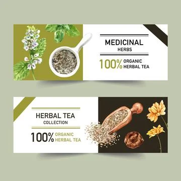 Herbal tea banner design with basil, peppermint, chrysanthemum watercolor ill Stock Illustration