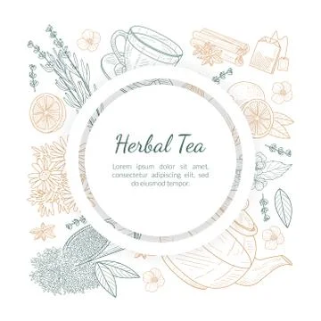 Herbal Tea Banner Template with Space for Text, Cafe, Restaurant Menu or Tea Stock-Illustration