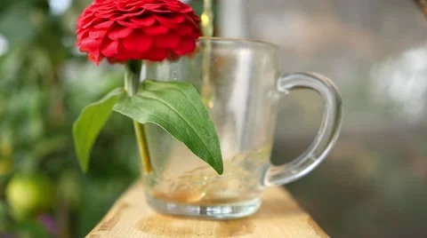 Herbal tea being poured into a mug with a flower 動画素材 65376267