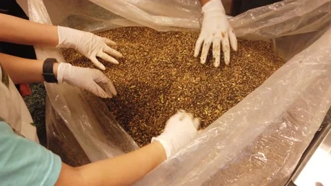 Herbal Tea in bulk hand mixed Vidéo 227011781