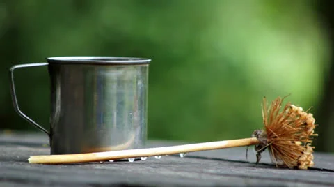 Herbal tea of composition, still life Stock Footage 25829135