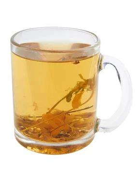 Herbal tea in cup Stock Photos