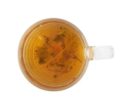 Herbal tea in cup Stock Photos