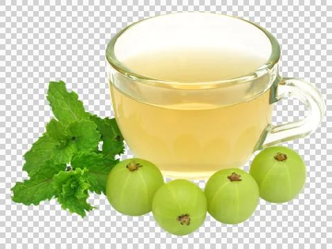 Herbal tea in a cup Stock Photos