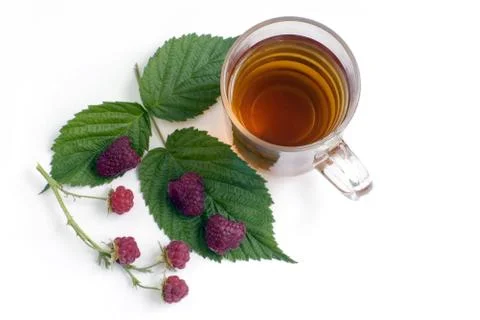 Herbal tea in the cup with raspberry and green leaf Stock Photos