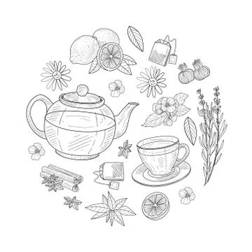 Herbal Tea Elements of Round Shape, Cafe or Restaurant Menu, Tea Shop Hand Drawn 스톡 일러스트