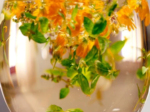 Herbal tea Stock Footage 77951642