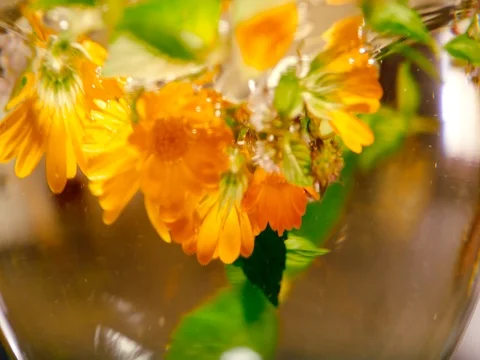 Herbal tea Stock Footage 77952831