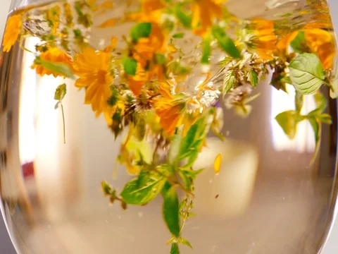 Herbal tea Stock Footage 77955583